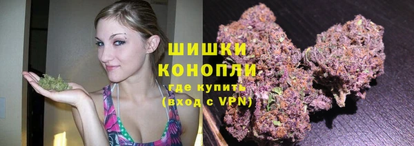 дмт Приозерск
