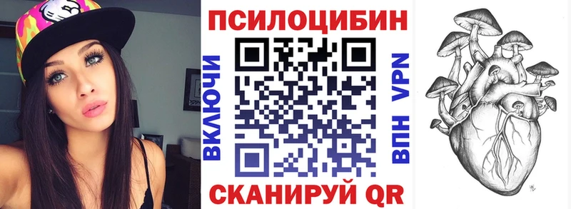 Псилоцибиновые грибы Cubensis  Ужур 